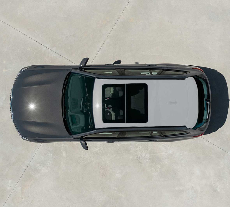PPF (Paint Protection)